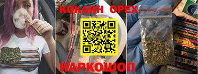 шишки Заволжье