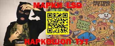 шишки Заволжье