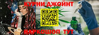 шишки Заволжье
