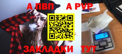 шишки Заволжье