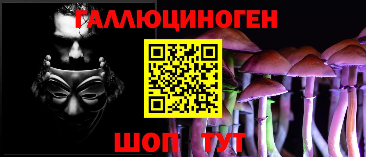 Златоуст  Галлюциногенные грибы Psilocybine cubensis  Псилоцибиновые грибы Psilocybe  Вход с VPN 